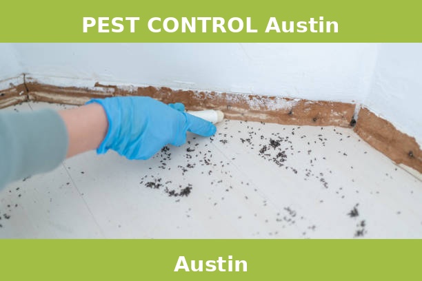 PEST CONTROL Austin